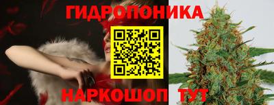 шишки Нягань